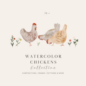 Könnte beinhalten: Aquarellillustration mit drei Hühnern in Grau- und Beigetönen, mit roten Kämmen und Schnäbeln. Das Bild enthält den Text "WATERCOLOR CHICKENS Collection" und "COMPOSITIONS, FRAMES, PATTERNS & MORE".
