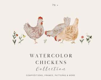 Watercolor Chickens & Floral Clipart: Adorable Frames, Wildflower, Numbers, Seamless Patterns (50 PNG, Digital Download)