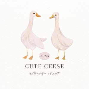 Aquarel schattige ganzen, aquarel gans png, gans clipart, schattige dieren png, aquarel dieren, aquarel gans illustratie