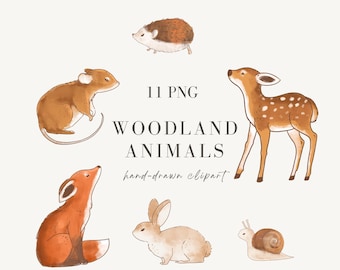 Woodland Animals Clipart Set: Fox, Deer, Bear, Bunny (Digital Download)