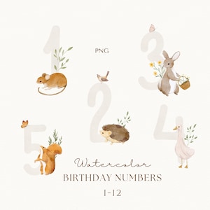 Aquarelle anniversaire numéros 1-12, animaux mignons PNG, lapin dessiné à la main, écureuil, oie, hérisson, souris PNG, clipart aquarelle