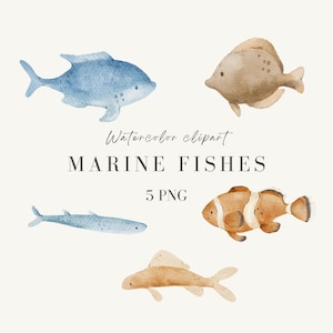 Clipart aquarelle poissons marins, illustrations sous la mer, téléchargement numérique peint à la main pour baby shower, décoration de chambre d'enfant, impressions