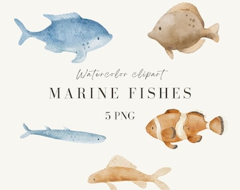 Watercolor Marine Fish Clipart: Hand-Painted Undersea PNG (Digital Download)
