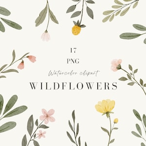 Aquarelle de fleurs sauvages PNG, Clipart floral aquarelle, fleurs PNG, aquarelle de feuilles, Illustrations botaniques dessinées à la main, Clipart aquarelle