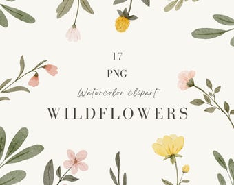 Imágenes prediseñadas de flores silvestres en acuarela: PNG floral dibujado a mano (descarga digital)