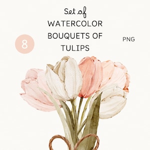 8 ramos de tulipanes en acuarela PNG, ramo de imágenes prediseñadas, tulipanes en acuarela PNG, tulipanes rosados, tulipanes blancos, ilustraciones de flores en acuarela