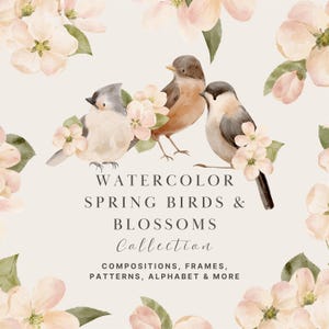 May include: A digital graphic featuring three watercolor birds perched among pale pink blossoms. The text reads: WATERCOLOR SPRING BIRDS & BLOSSOMS COLLECTION. COMPOSITIONS, FRAMES, PATTERNS, ALPHABET & MORE. The background is a solid light cream color.
