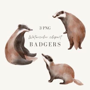 水彩画のアナグマのクリップアート、水彩画の動物のイラスト、手描きのデジタルダウンロード、ベビーシャワー、保育園の装飾、プリント
