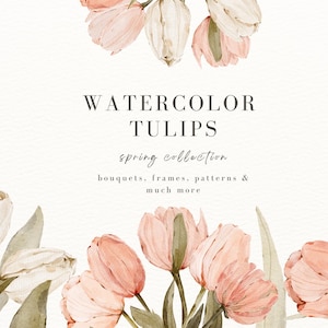 Set di tulipani rosa ad acquerello, bouquet di fiori ad acquerello, cornici di tulipani PNG, modelli senza soluzione di continuità, clipart di tulipani bianchi, clipart floreale numero 8