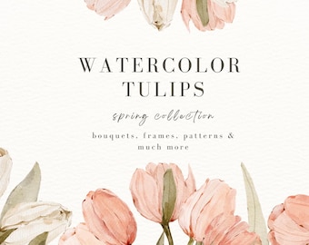 May include: A digital graphic featuring watercolor illustrations of soft peach and cream tulips arranged at the top and bottom. The center text reads WATERCOLOR TULIPS, spring collection, bouquets, frames, patterns & much more in dark gray.