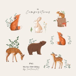 K&ouml;nnte beinhalten: Ein digitales Illustrationsset mit 14 Kompositionen von Waldtieren, darunter ein Fuchs, ein Hase, ein B&auml;r und ein Reh, akzentuiert mit gr&uuml;nem Blattwerk und Pilzen. Der Text lautet 14 Compositions, PNG und Min Size 3508x2263px von JentevaArt.