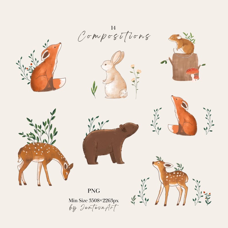 K&ouml;nnte beinhalten: Ein digitales Illustrationsset mit 14 Kompositionen von Waldtieren, darunter ein Fuchs, ein Hase, ein B&auml;r und ein Reh, akzentuiert mit gr&uuml;nem Blattwerk und Pilzen. Der Text lautet 14 Compositions, PNG und Min Size 3508x2263px von JentevaArt.