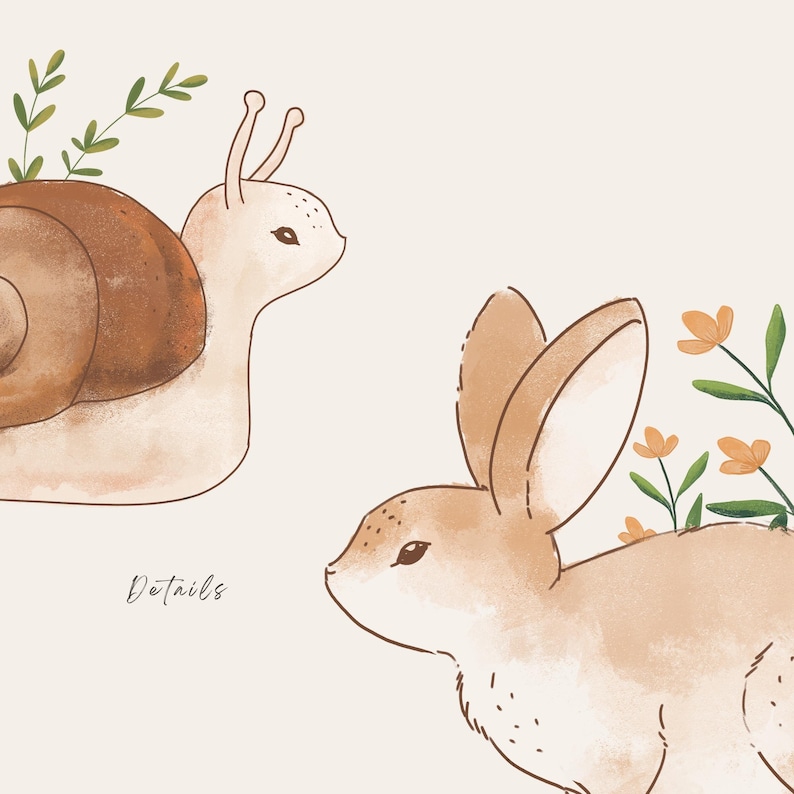 K&ouml;nnte beinhalten: Eine digitale Illustration mit einer hellbraunen Schnecke mit dunkelbraunem Geh&auml;use und gr&uuml;nen Blattzweigen sowie einem hellbraunen Hasen mit langen Ohren und orangefarbenen Blumen. Das Wort Details steht in Schreibschrift dazwischen.