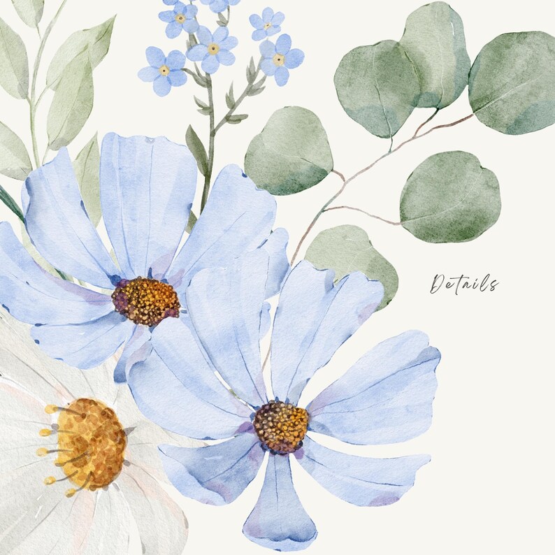 May include: A watercolour illustration featuring blue and white flowers, green leaves, and small blue flowers. The flowers have yellow and brown centres. The word "Details" is written in a script font.