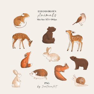 K&ouml;nnte beinhalten: Eine digitale Sammlung von 12 handgezeichneten Tieren, darunter Maus, Vogel, B&auml;r, Reh, Fuchs, Hase, Eichh&ouml;rnchen, Igel und Schnecke. Der Text lautet 12 HAND-DRAWN Animals, Min Size 3174x1961px, PNG, und by JentevaArt auf hellem Hintergrund.