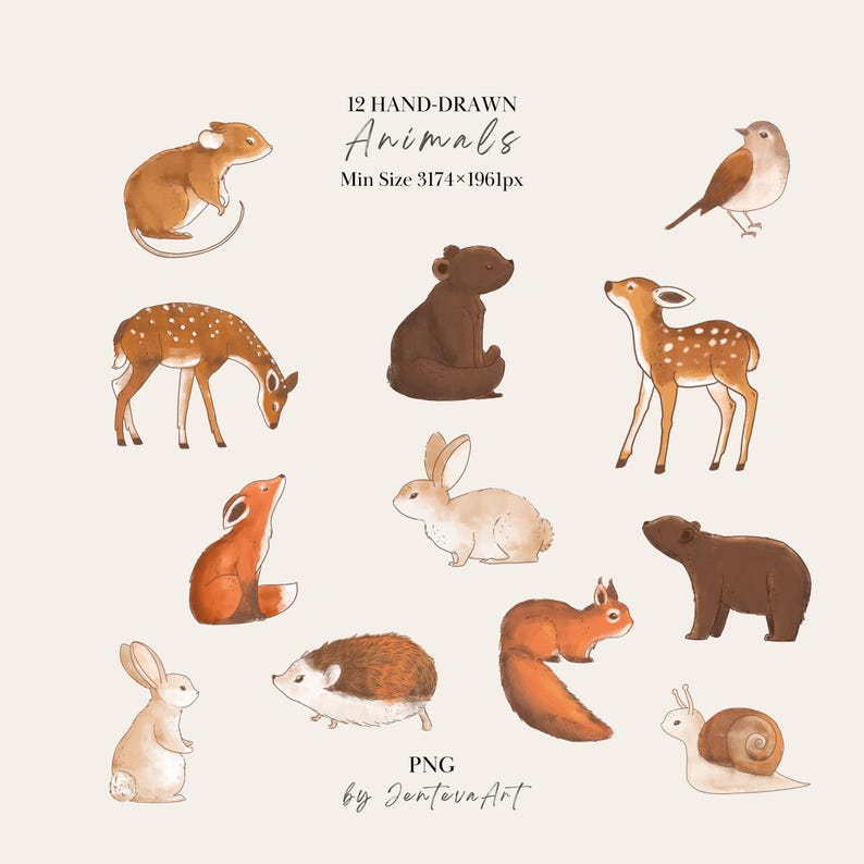 K&ouml;nnte beinhalten: Eine digitale Sammlung von 12 handgezeichneten Tieren, darunter Maus, Vogel, B&auml;r, Reh, Fuchs, Hase, Eichh&ouml;rnchen, Igel und Schnecke. Der Text lautet 12 HAND-DRAWN Animals, Min Size 3174x1961px, PNG, und by JentevaArt auf hellem Hintergrund.