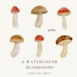 6 Aquarell Pilze Clipart, Pilz PNG, Aquarell Fliegenpilz PNG, Herbst Pilz Illustrationen, Herbst Clipart, Herbst Pilz PNG
