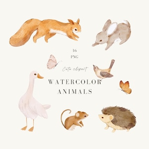Animais fofos em aquarela, coelho em aquarela, rato em aquarela, clipart de esquilo, ganso PNG, clipart de pássaros, ouriço em aquarela, borboleta PNG