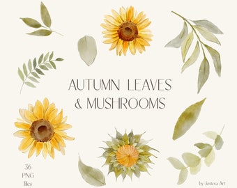 Watercolor Sunflower Clipart: Floral PNG Elements (Commercial Use)