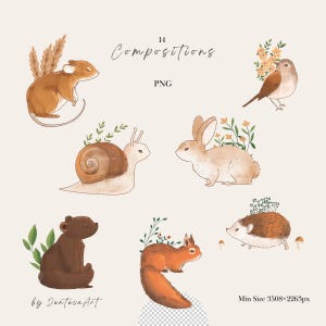 K&ouml;nnte beinhalten: Eine digitale Sammlung von 14 Aquarellillustrationen mit einer Maus, einem Vogel, einer Schnecke, einem Hasen, einem B&auml;ren, einem Eichh&ouml;rnchen und einem Igel. Jedes Tier ist mit nat&uuml;rlichen Elementen dargestellt. Text: 14 Compositions PNG.