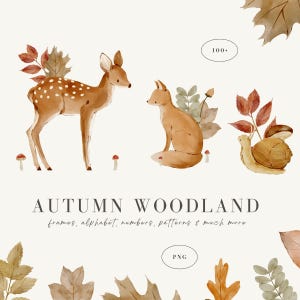 100 aquarel herfst bos clipart, bosdieren png, herfst frames, patronen, alfabet, cijfers, bladeren, paddenstoelen, vos, herten - png