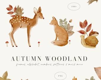 Watercolor Autumn Animals Clipart: Woodland Forest Graphics (Digital Download, Commercial Use Options Available)