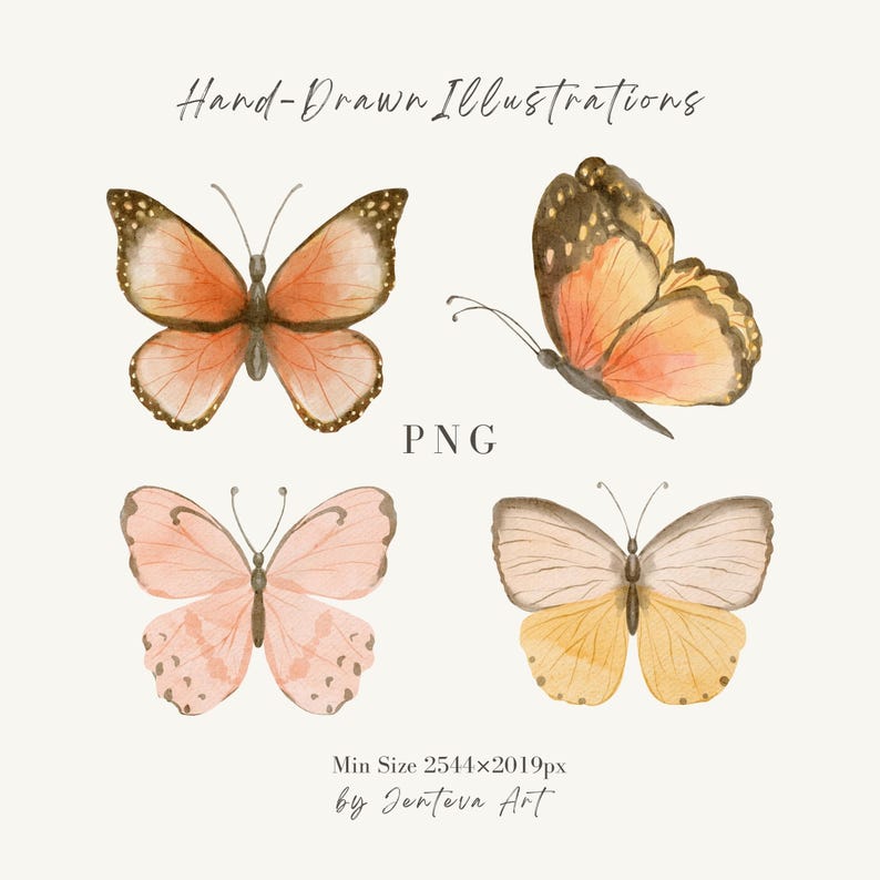 Puede incluir: Ilustraciones de acuarela de mariposas en varios colores, incluyendo naranja, rosa y amarillo. La imagen incluye el texto "Hand-Drawn Illustrations", "PNG" y "Min Size 2544x2019px by Jenteva Art."