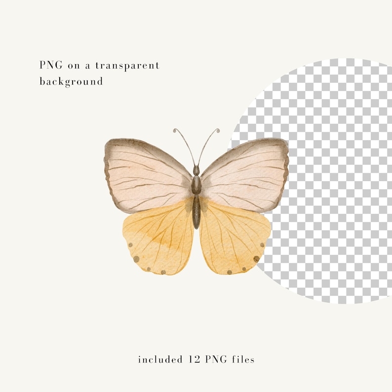 Puede incluir: Ilustraci&oacute;n en acuarela de una mariposa con alas beige y amarillas. La mariposa tiene un patr&oacute;n de alas detallado y est&aacute; sobre un fondo transparente. El texto de la imagen dice "PNG sobre un fondo transparente" y "incluye 12 archivos PNG".