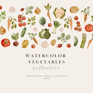 Può includere: Una collezione di illustrazioni ad acquerello raffiguranti varie verdure tra cui pomodori, carote, cipolle, aglio, cavolfiori, carciofi e cetrioli. Il testo recita WATERCOLOR VEGETABLES COLLECTION COMPOSITIONS, FRAMES, PATTERNS & MORE.