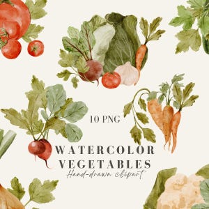 May include: Watercolor illustrations of various vegetables, including tomatoes, carrots, beets, cabbage, and garlic. The image includes the text "10 PNG" and "WATERCOLOR VEGETABLES Hand-drawn clipart."