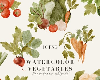 Clipart de Verduras en Acuarela: Ilustraciones de Alimentos Pintadas a Mano (10 PNG, Descarga Digital)