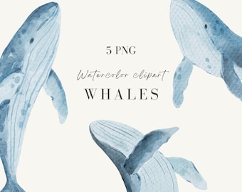 Aquarell Wale Clipart: Handgemalte Unterwasser Illustrationen (digitaler Download)