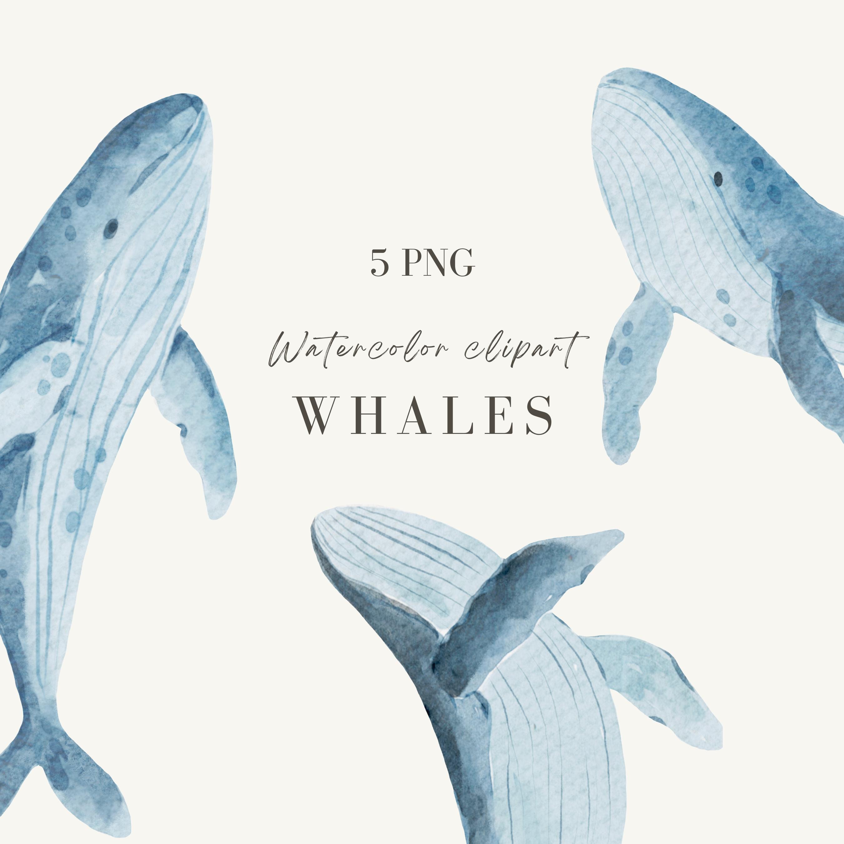 水彩画風クジラのクリップアート：手描きの海底イラスト（デジタル