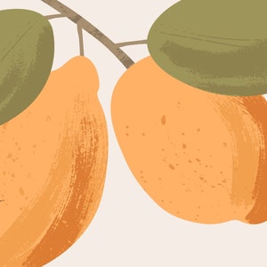 Adobe Illustrator Dry Media Brushes: Vektorstänk och texturpenslar (AI-fil) bild 8