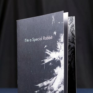 Poetry zine / Illustrated chapbook / I'm a special rabbit image 1