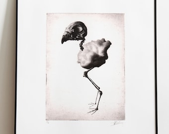 Etching - Wall Art - Original print limited edition - Bird skeleton III