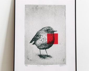 Original Etching / Limited edition fine art print / Intaglio / Bird - red robin