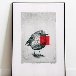 Original Etching / Limited edition fine art print / Intaglio / Bird red robin No