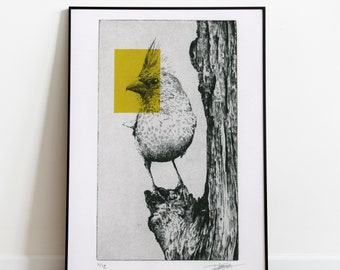 Gravure originale édition limitée / Estampe art / Taille douce / Oiseau - Cardinal