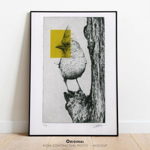 Acquaforte originale in edizione limitata / Stampa artistica / Intaglio / Uccello - Cardinale