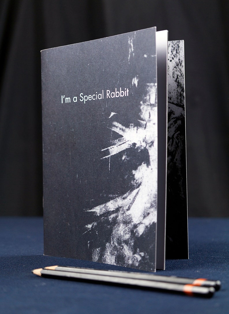 Poetry zine / Illustrated chapbook / I'm a special rabbit image 1