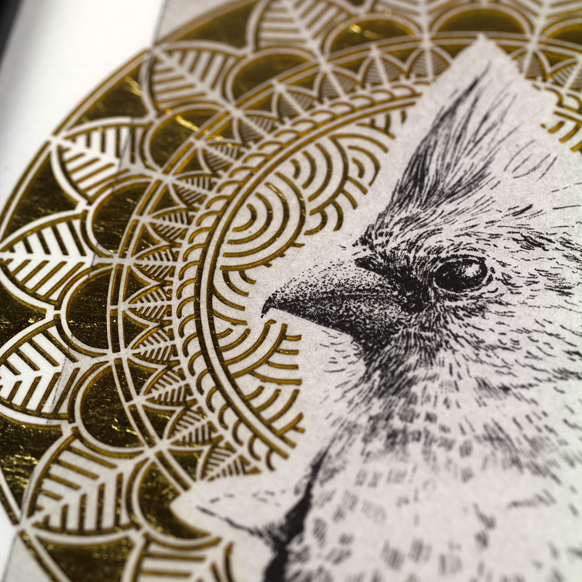 Original Etching / Limited Edition Fine Art Print / Intaglio / Bird ...