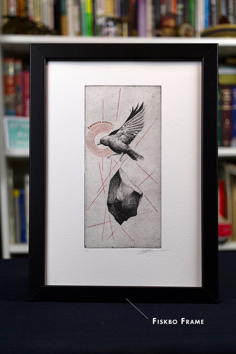 A etchingof a bird in mid-flight, passing over a solid floating rock, celebrating the essence of nature.