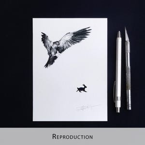 Original Etching / Limited edition fine art print / Intaglio / Bird of prey image 11