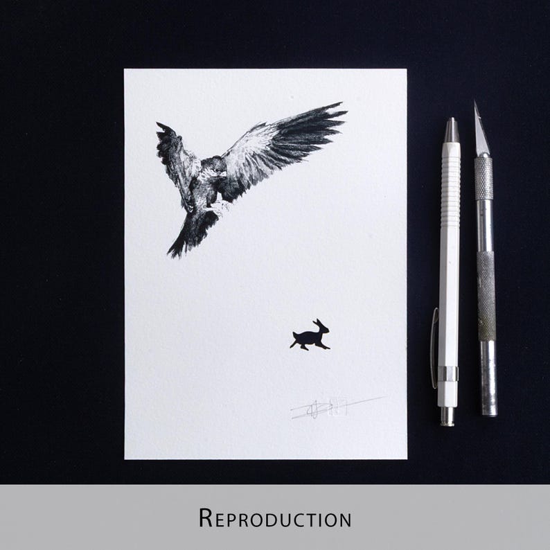 Original Etching / Limited edition fine art print / Intaglio / Bird of prey image 11
