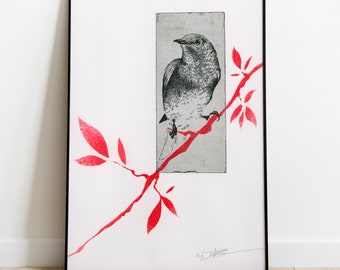 Original Etching / Limited edition fine art print / Intaglio / Eastern bluebird - bird