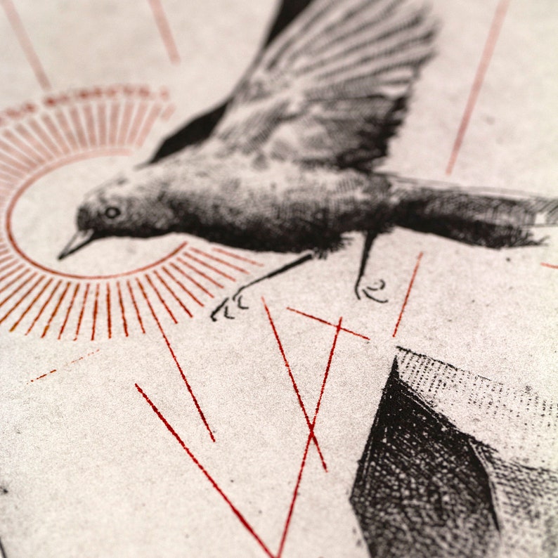 A etchingof a bird in mid-flight, passing over a solid floating rock, celebrating the essence of nature.