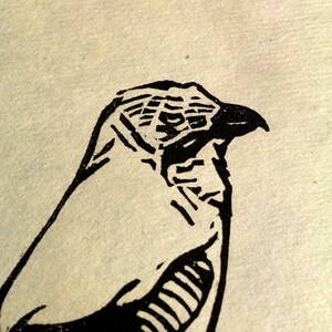 May include: A black and white linocut print of a bird's head and neck. The bird's beak is pointed, and the eye is visible. The print is on a cream-coloured paper. The bird's feathers are detailed with lines.