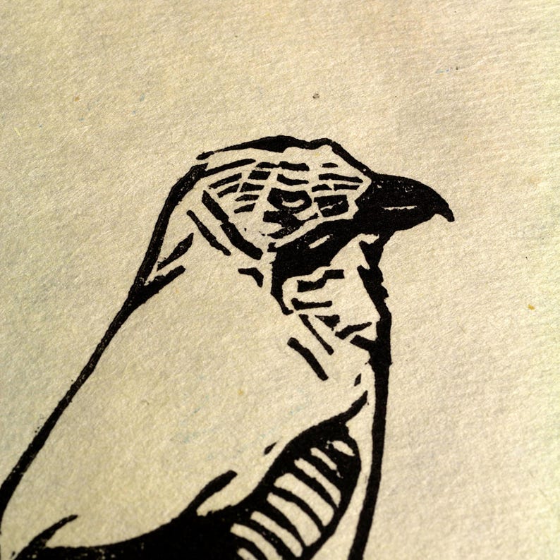 May include: A black and white linocut print of a bird's head and neck. The bird's beak is pointed, and the eye is visible. The print is on a cream-coloured paper. The bird's feathers are detailed with lines.