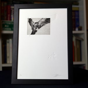 May include: A black framed print of a black and white etching of a bird in flight. The print is matted and has a small embossed design in the lower right corner.